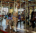 New Carvings Carousel Works